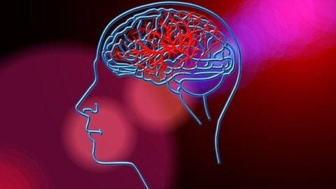 Outline of human profile and brain