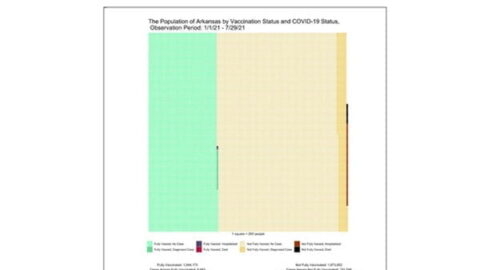 Graph showing Visualization of the number of persons fully vaccinated and unvaccinated, and the number of hospitalizations and deaths due to COVID-19, for 12 US states, January – July 2021.