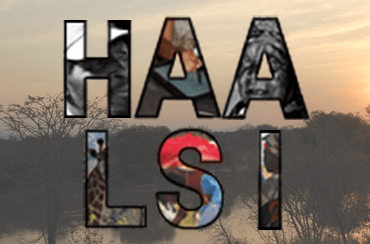 HAALSI letters on a South African background