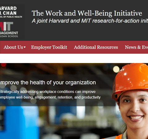 Screenshot of the WWBI website homepage