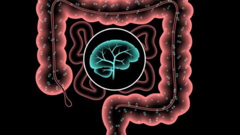 Gut microbiome