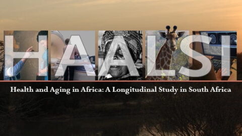HAALSI letters with images from project