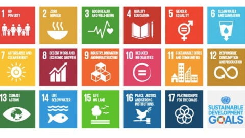 Sustainable Development Goals 2030