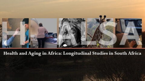 HAALSA letters with South African images behind them