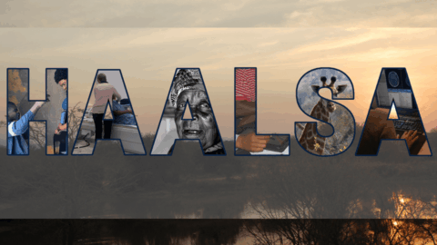 HAALSA letters