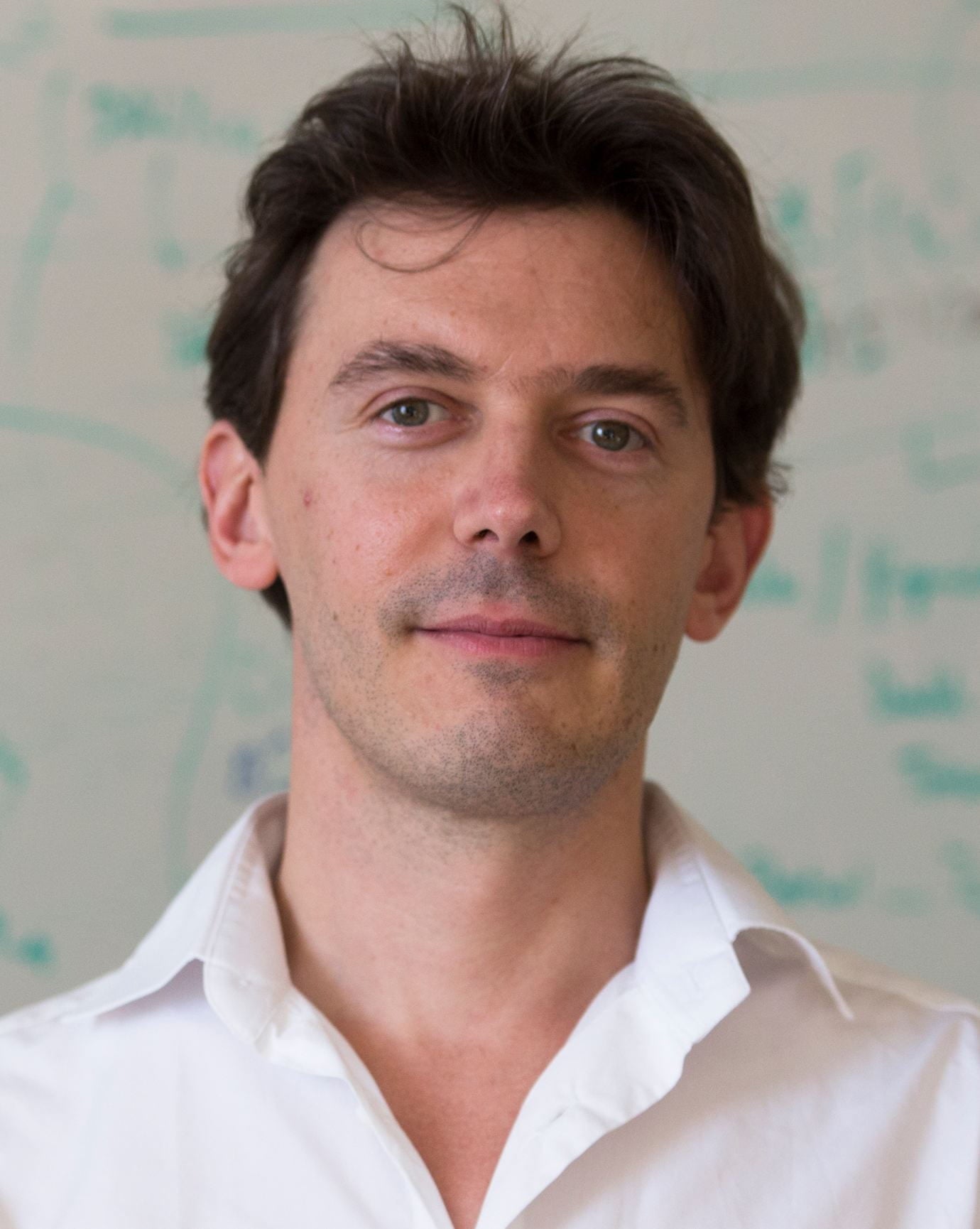 Head shot of Stephane Verguet