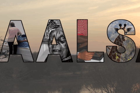 HAALSA letters with images inside them
