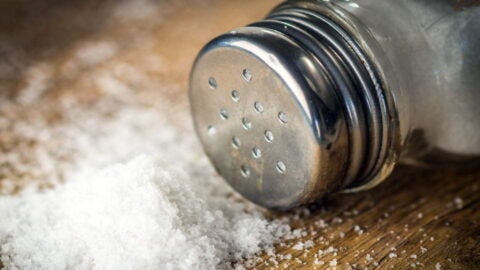 Shaker of salt