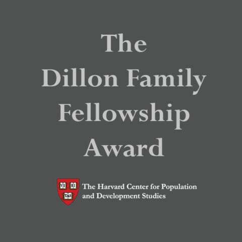 Dillon Family Fellowship Award