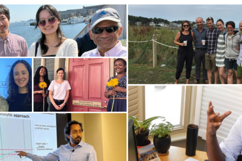 Collage of Bell Fellows